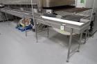 Babbco Direct Fired Tunnel Oven